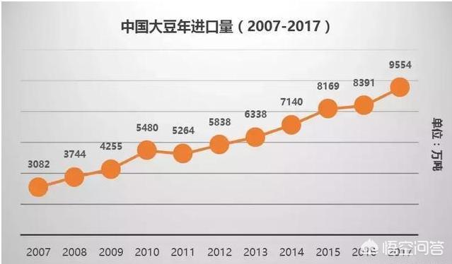 進口大豆價格最新行情深度解析