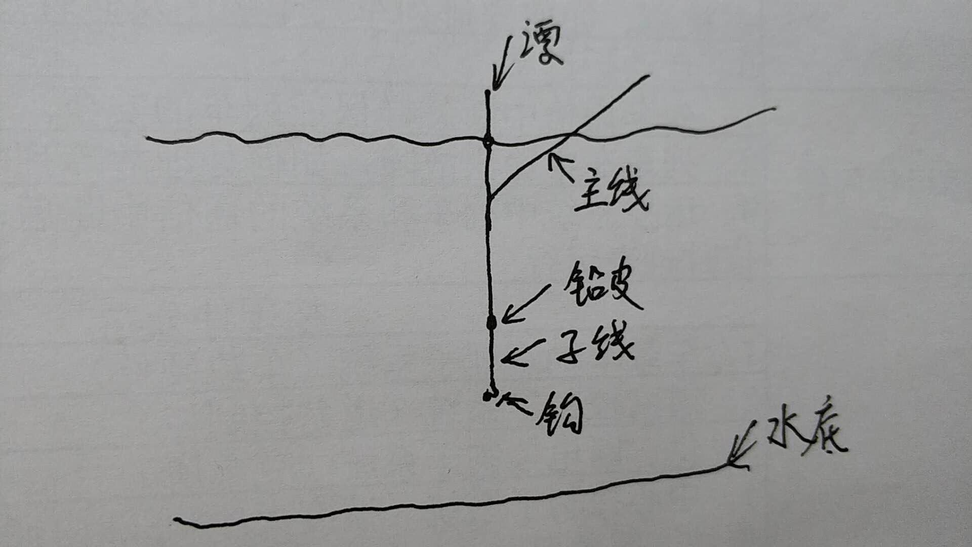 最新浮力視頻，揭示浮力奧秘與魅力