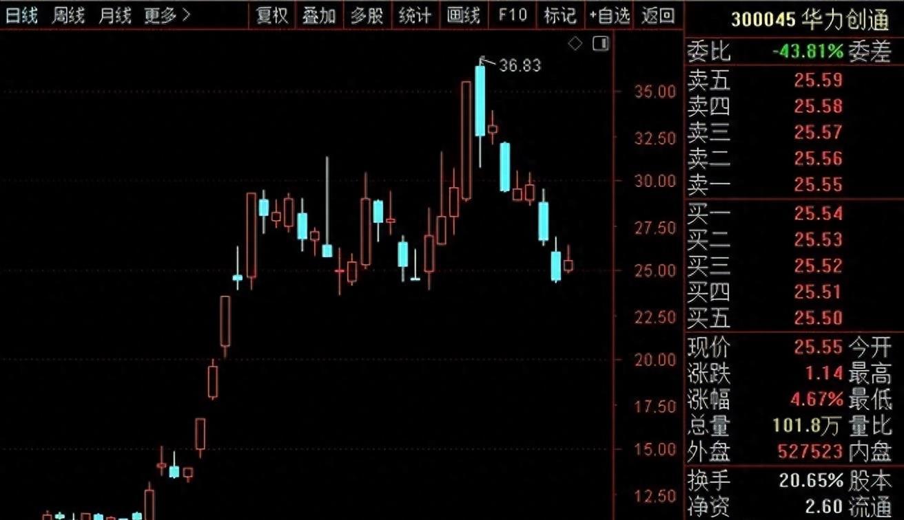 圣龍股份最新消息全面解讀與分析