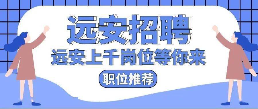 遠安招聘網最新招聘動態深度解讀與解析報告