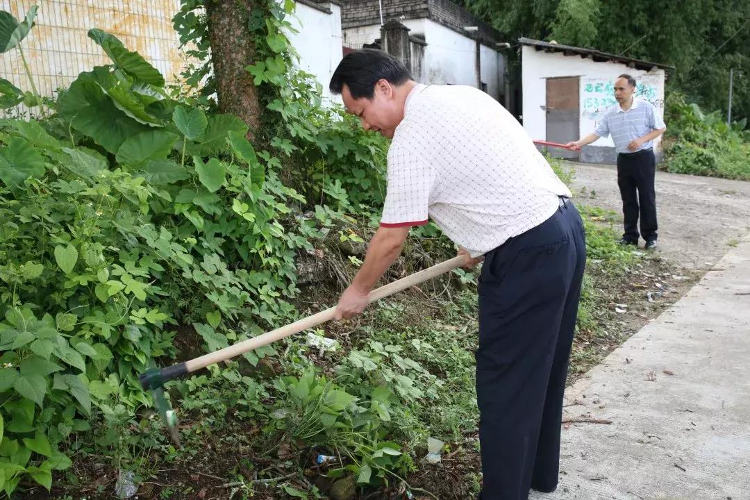 清新環境最新動態，邁向綠色未來的步伐正在加速