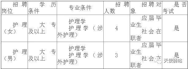 深圳護士招聘最新信息，影響與展望