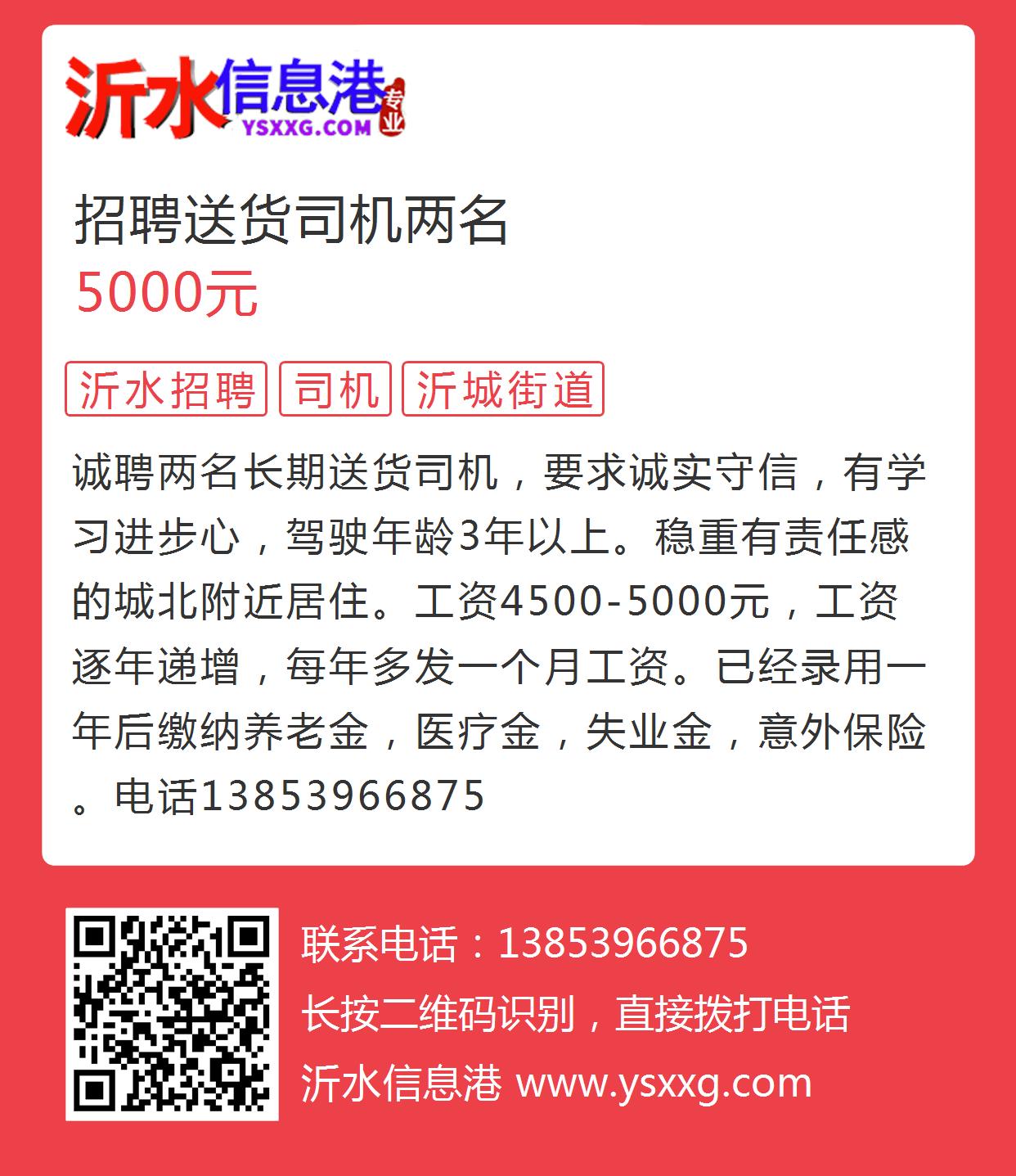 臨沭司機招聘最新動態，行業趨勢與就業機會深度解析