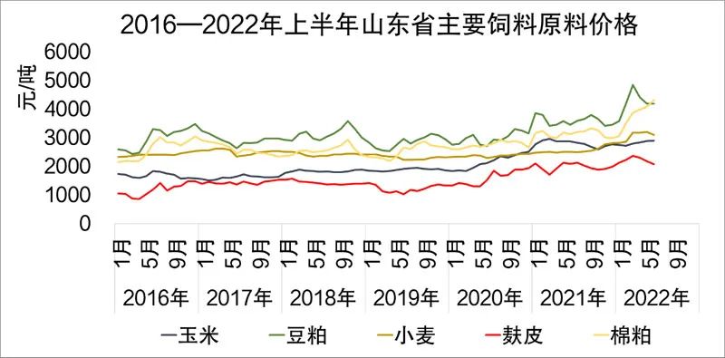 飼料玉米最新價格行情解析