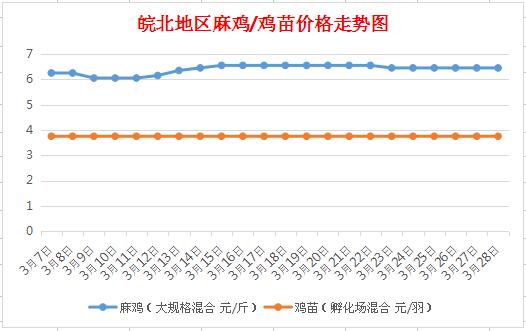 皖北麻雞價格行情最新分析