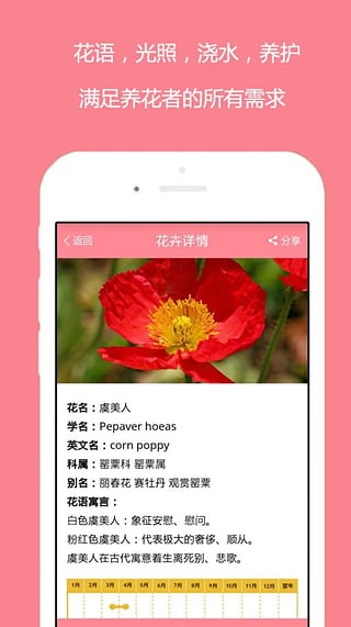 花開app最新版下載探索，全新體驗(yàn)與功能詳解