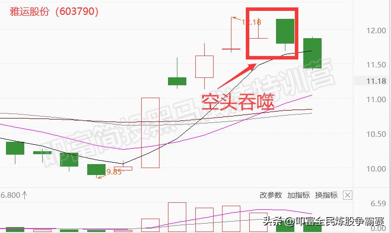 雅運股份最新消息全面解讀與分析