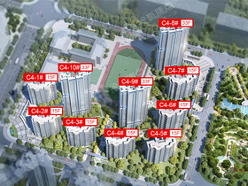 武漢國博新城最新房價動態與市場趨勢深度解析