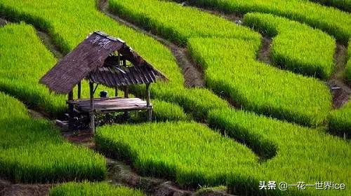 鄉村度假2無限鑰匙最新版，自然與科技的完美融合探索之旅