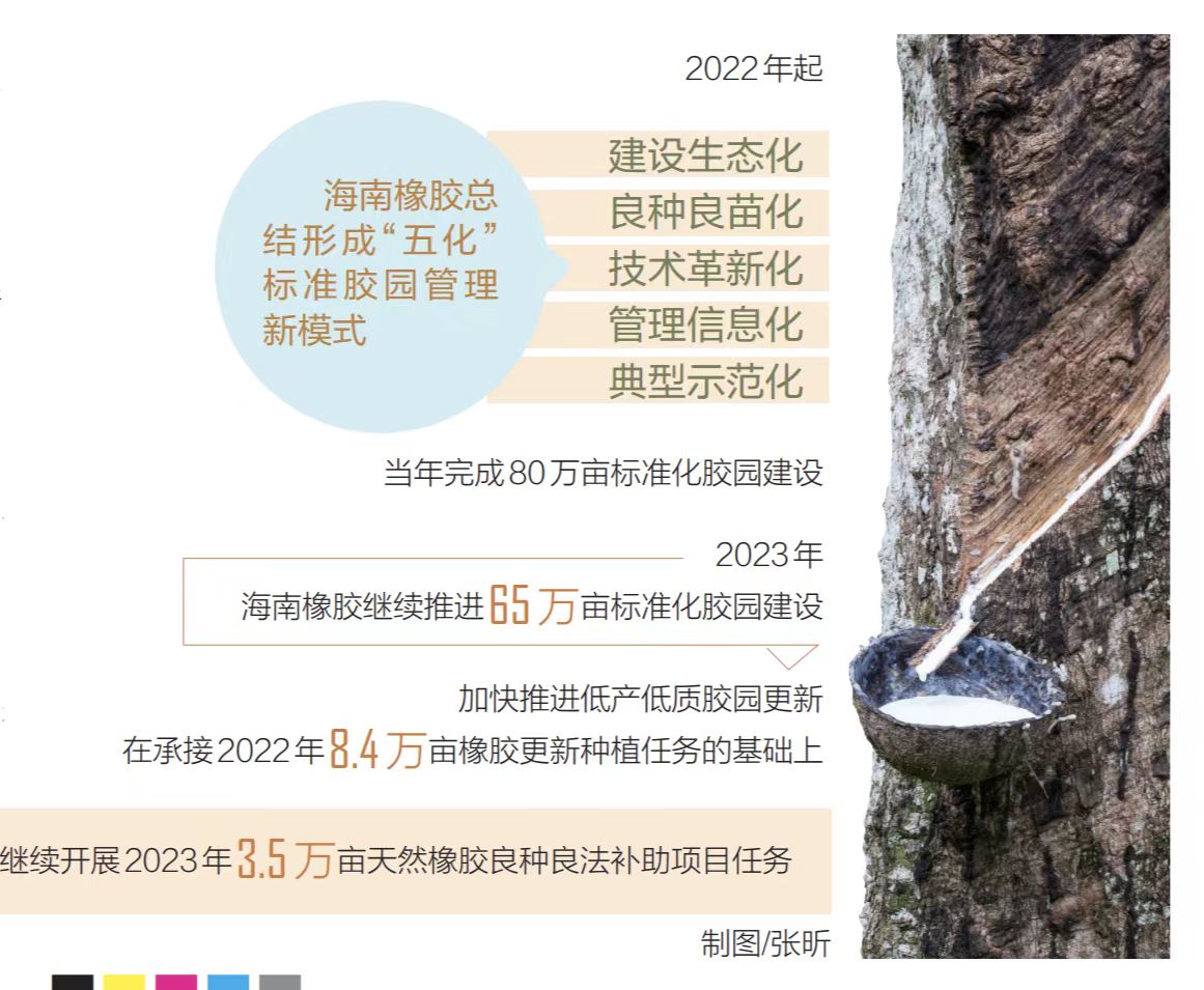 海南橡膠最新價格走勢動態分析