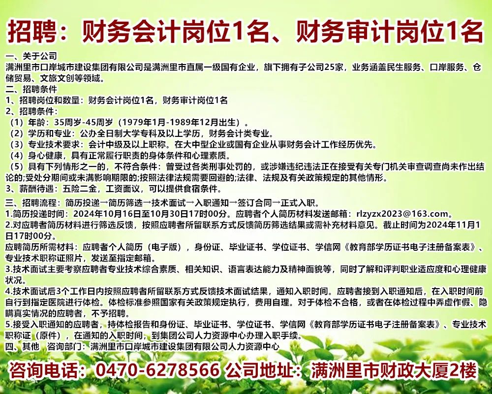 安國會計最新招聘信息揭秘，財會人才的職業新機遇探索