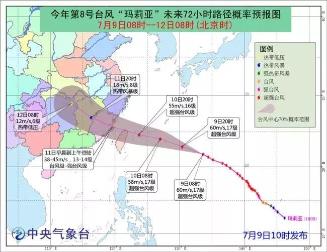 臺風最新動態(tài)，溫州受影響及應對策略